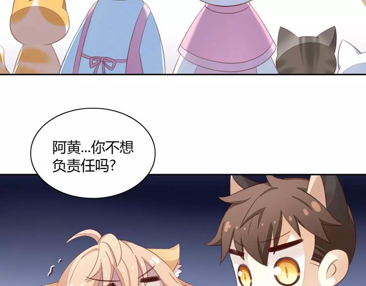 猫爪之下韩漫全集-第14话  萌宠失踪无删减无遮挡章节图片 