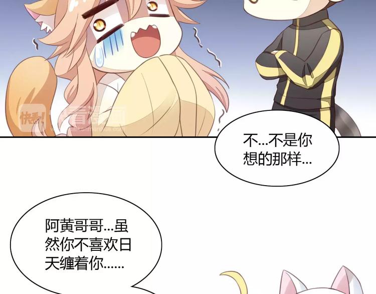 猫爪之下韩漫全集-第14话  萌宠失踪无删减无遮挡章节图片 