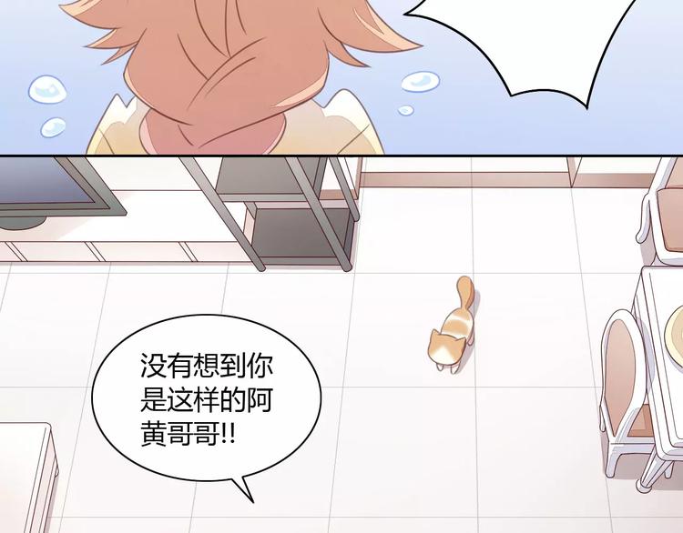 猫爪之下韩漫全集-第14话  萌宠失踪无删减无遮挡章节图片 