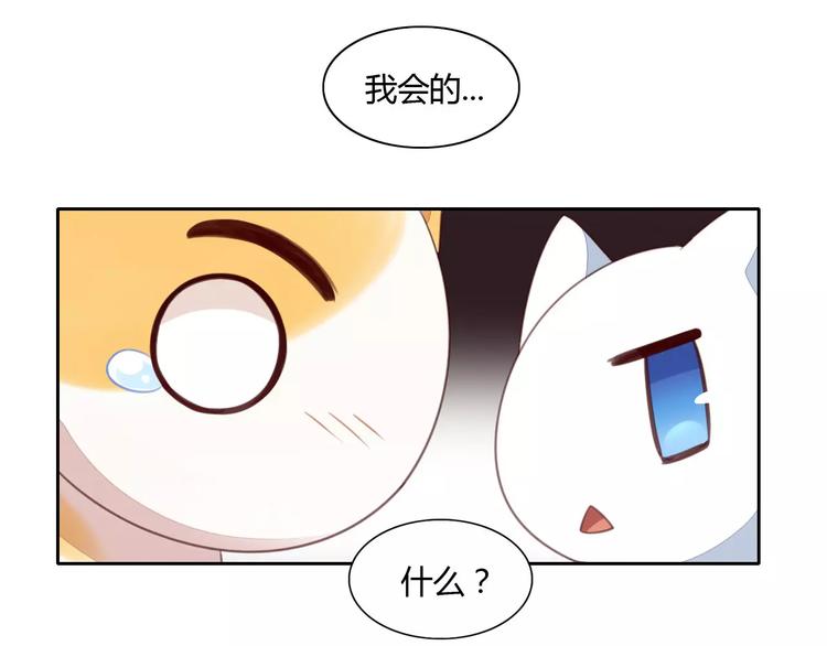 猫爪之下韩漫全集-第14话  萌宠失踪无删减无遮挡章节图片 