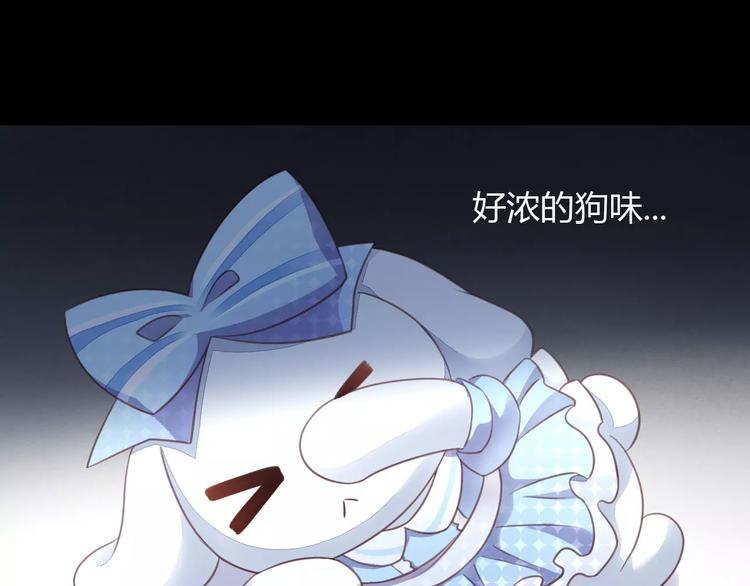 猫爪之下韩漫全集-第14话  萌宠失踪无删减无遮挡章节图片 