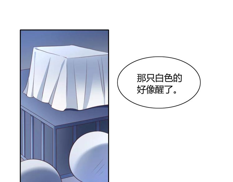 猫爪之下韩漫全集-第14话  萌宠失踪无删减无遮挡章节图片 