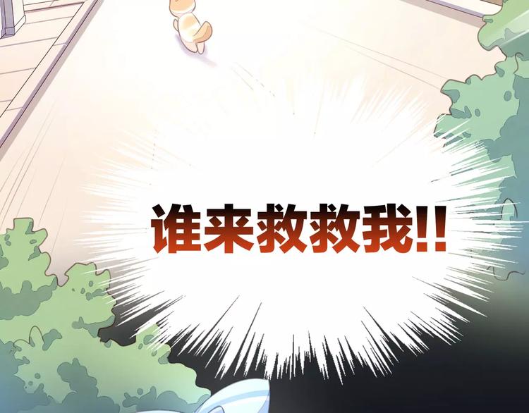 猫爪之下韩漫全集-第14话  萌宠失踪无删减无遮挡章节图片 
