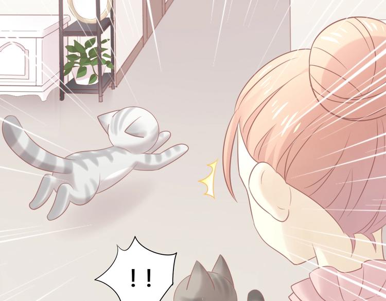 猫爪之下韩漫全集-第130话 猫舍C位（六）无删减无遮挡章节图片 