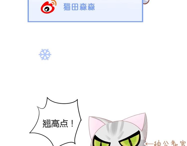 猫爪之下韩漫全集-第130话 猫舍C位（六）无删减无遮挡章节图片 