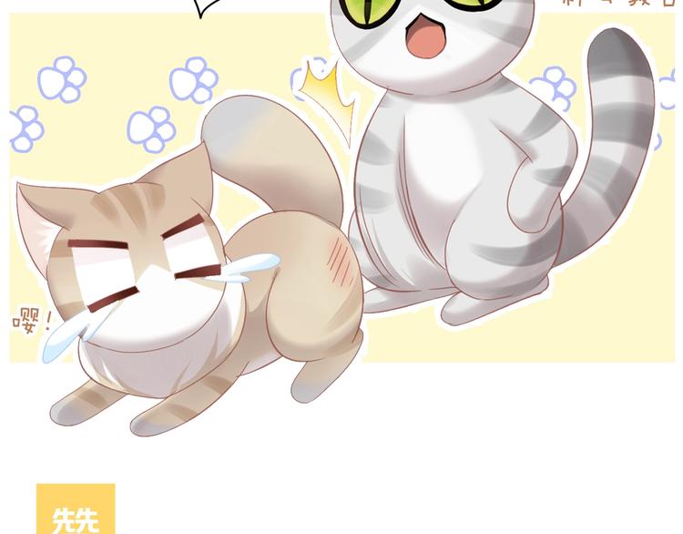 猫爪之下韩漫全集-第130话 猫舍C位（六）无删减无遮挡章节图片 