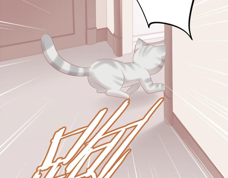 猫爪之下韩漫全集-第130话 猫舍C位（六）无删减无遮挡章节图片 