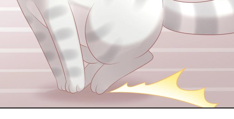 猫爪之下韩漫全集-第130话 猫舍C位（六）无删减无遮挡章节图片 