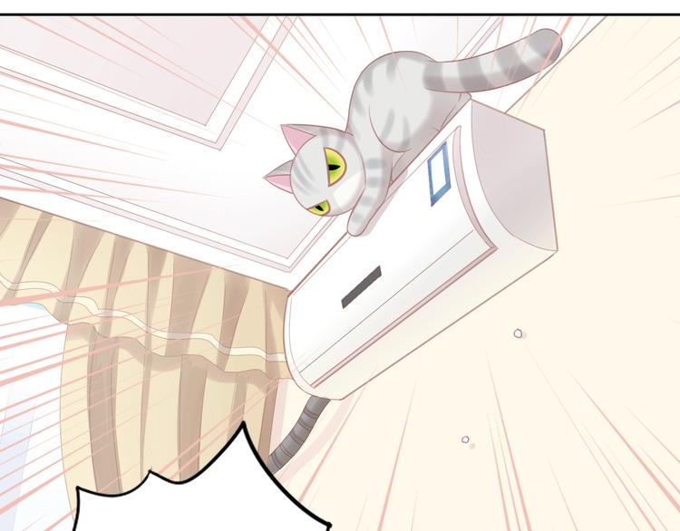 猫爪之下韩漫全集-第130话 猫舍C位（六）无删减无遮挡章节图片 