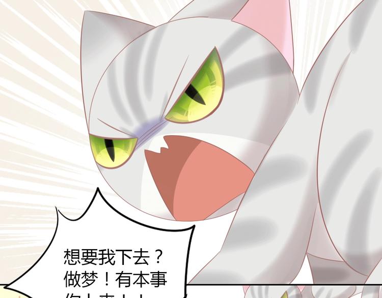 猫爪之下韩漫全集-第130话 猫舍C位（六）无删减无遮挡章节图片 