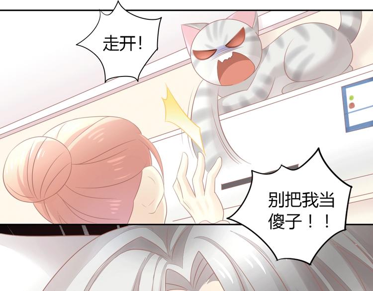 猫爪之下韩漫全集-第130话 猫舍C位（六）无删减无遮挡章节图片 