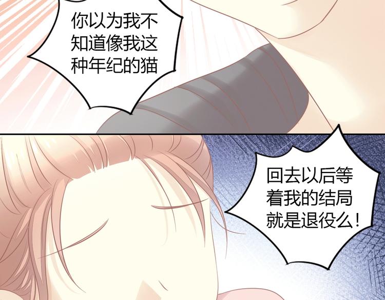 猫爪之下韩漫全集-第130话 猫舍C位（六）无删减无遮挡章节图片 