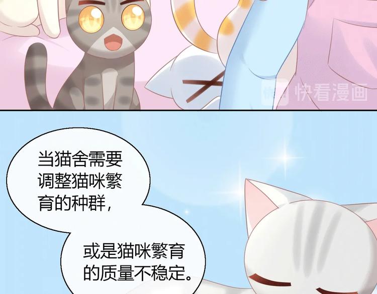 猫爪之下韩漫全集-第130话 猫舍C位（六）无删减无遮挡章节图片 