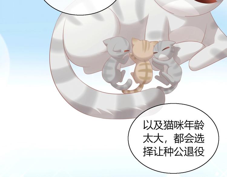 猫爪之下韩漫全集-第130话 猫舍C位（六）无删减无遮挡章节图片 