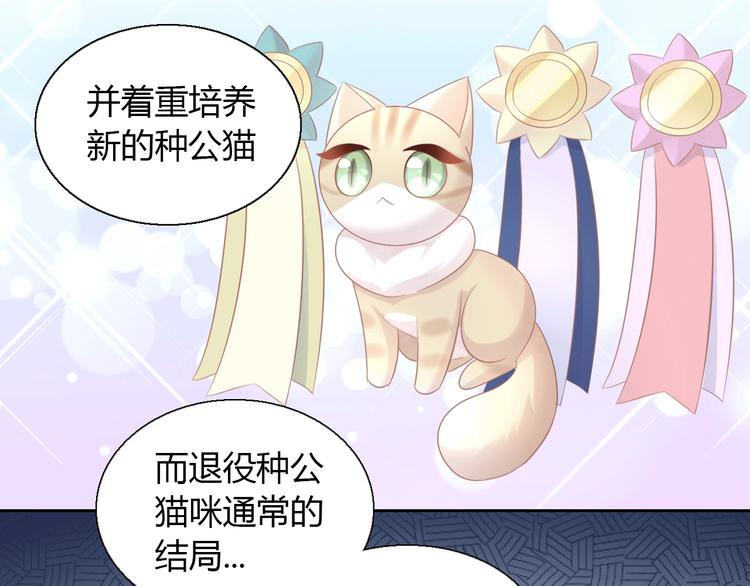 猫爪之下韩漫全集-第130话 猫舍C位（六）无删减无遮挡章节图片 