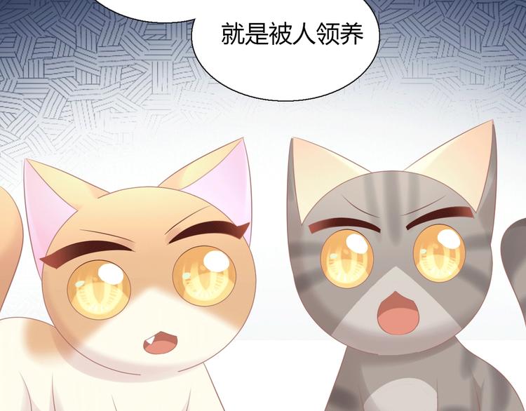 猫爪之下韩漫全集-第130话 猫舍C位（六）无删减无遮挡章节图片 