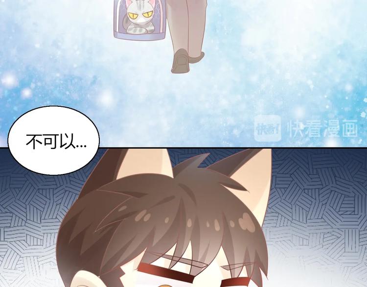 猫爪之下韩漫全集-第130话 猫舍C位（六）无删减无遮挡章节图片 