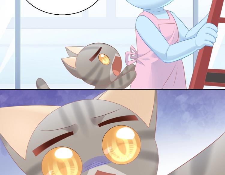 猫爪之下韩漫全集-第130话 猫舍C位（六）无删减无遮挡章节图片 