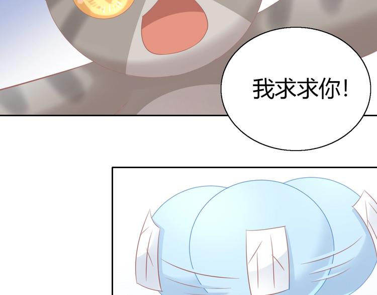 猫爪之下韩漫全集-第130话 猫舍C位（六）无删减无遮挡章节图片 