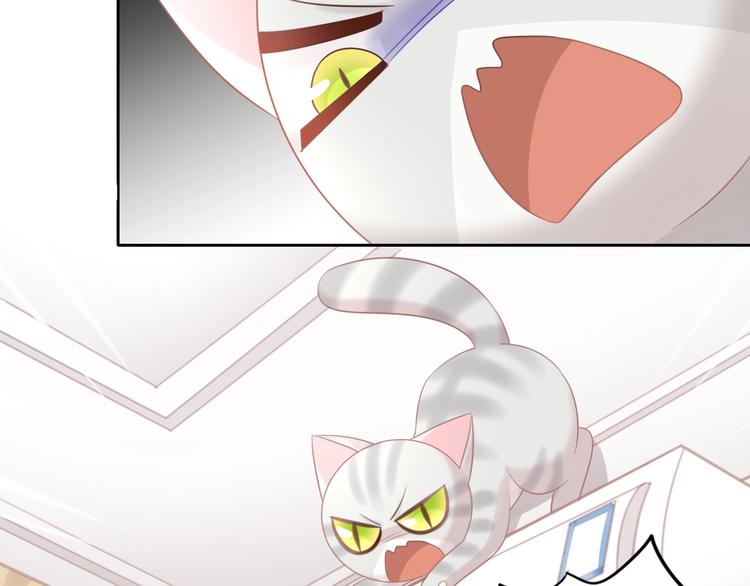 猫爪之下韩漫全集-第130话 猫舍C位（六）无删减无遮挡章节图片 