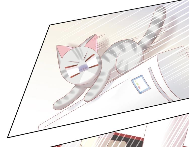 猫爪之下韩漫全集-第130话 猫舍C位（六）无删减无遮挡章节图片 