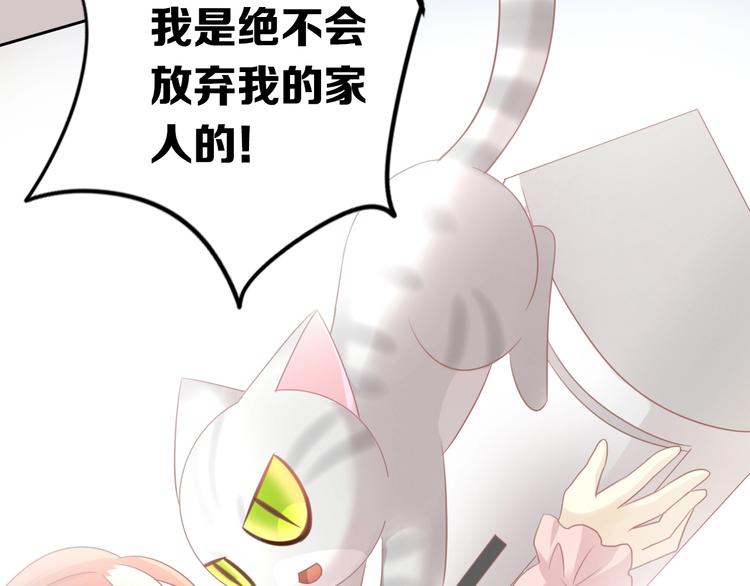 猫爪之下韩漫全集-第130话 猫舍C位（六）无删减无遮挡章节图片 