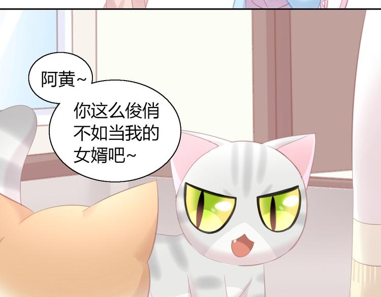 猫爪之下韩漫全集-第130话 猫舍C位（六）无删减无遮挡章节图片 