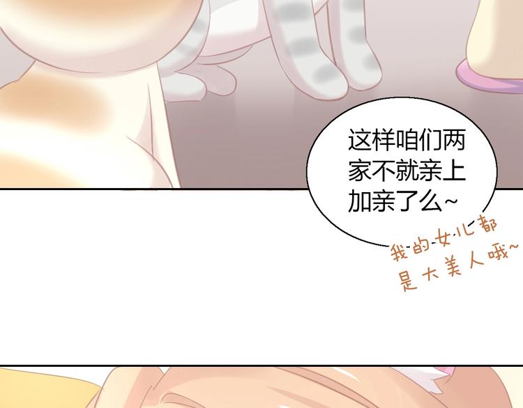 猫爪之下韩漫全集-第130话 猫舍C位（六）无删减无遮挡章节图片 