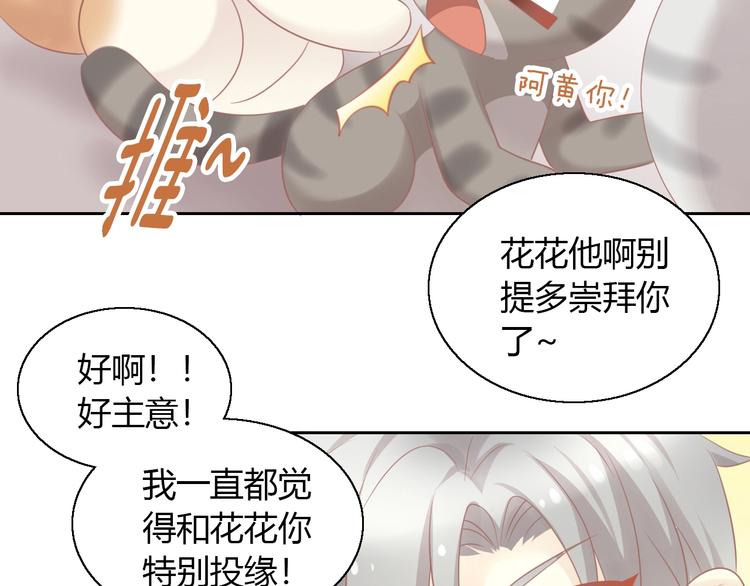 猫爪之下韩漫全集-第130话 猫舍C位（六）无删减无遮挡章节图片 