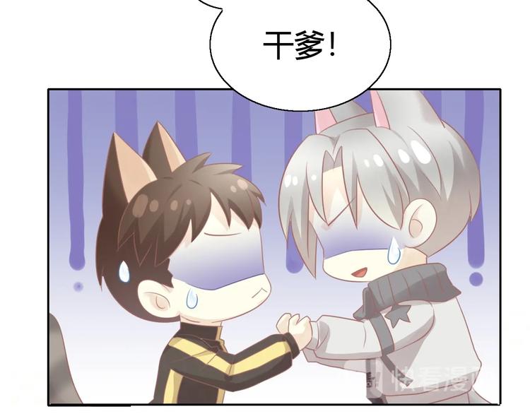 猫爪之下韩漫全集-第130话 猫舍C位（六）无删减无遮挡章节图片 