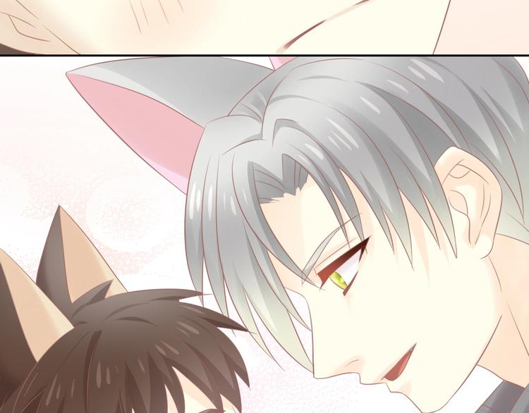 猫爪之下韩漫全集-第130话 猫舍C位（六）无删减无遮挡章节图片 