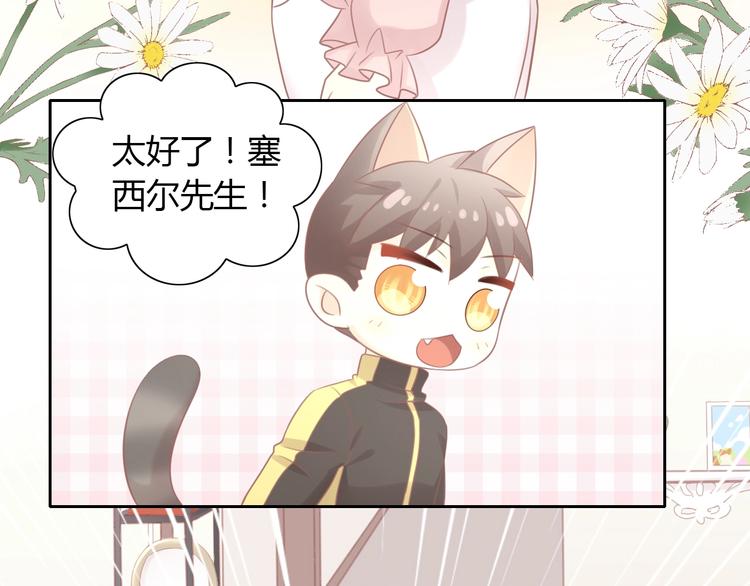 猫爪之下韩漫全集-第130话 猫舍C位（六）无删减无遮挡章节图片 
