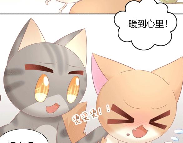 猫爪之下韩漫全集-第130话 猫舍C位（六）无删减无遮挡章节图片 