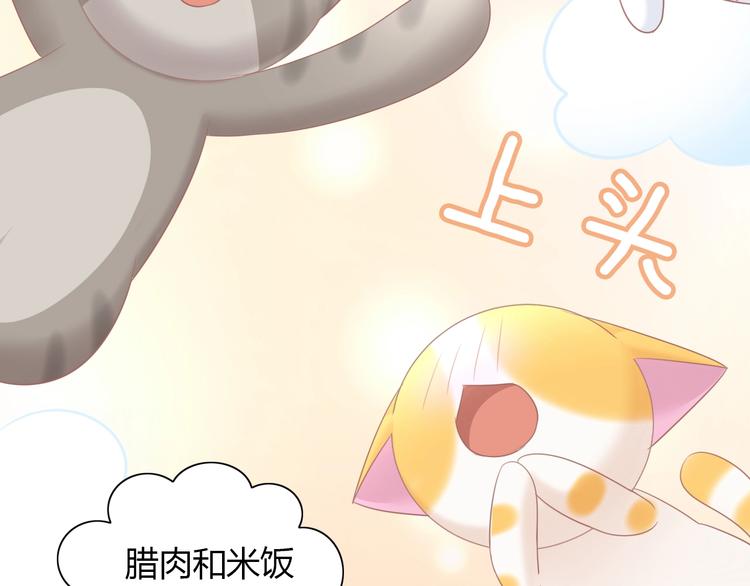 猫爪之下韩漫全集-第131话 小寒无删减无遮挡章节图片 