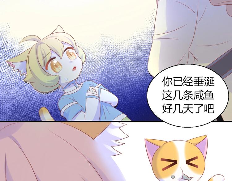 猫爪之下韩漫全集-第132话 咸鱼大盗无删减无遮挡章节图片 