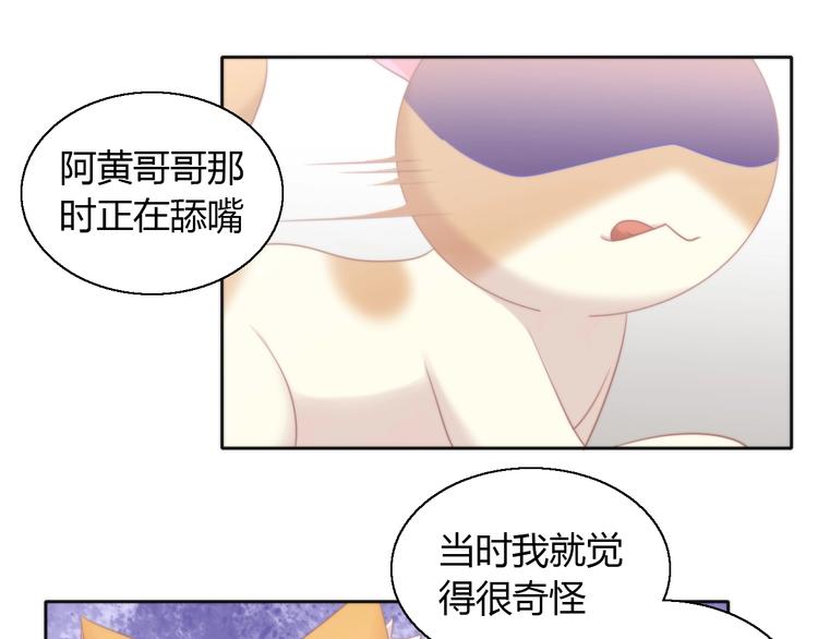 猫爪之下韩漫全集-第132话 咸鱼大盗无删减无遮挡章节图片 