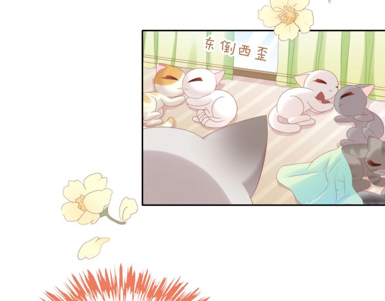 猫爪之下韩漫全集-第133话 撸猫技师（一）无删减无遮挡章节图片 