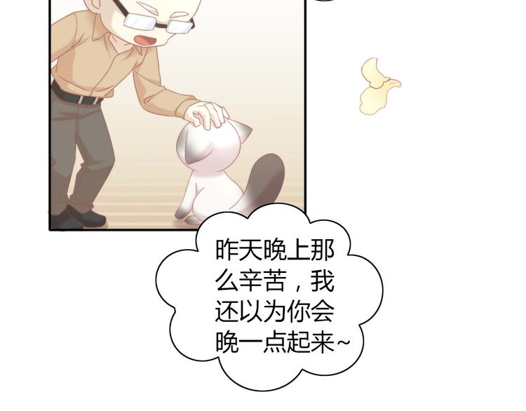 猫爪之下韩漫全集-第133话 撸猫技师（一）无删减无遮挡章节图片 