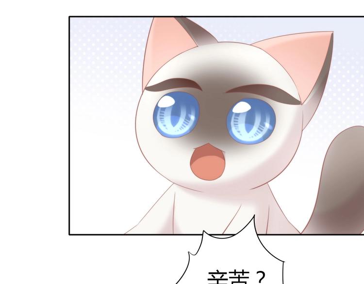 猫爪之下韩漫全集-第133话 撸猫技师（一）无删减无遮挡章节图片 