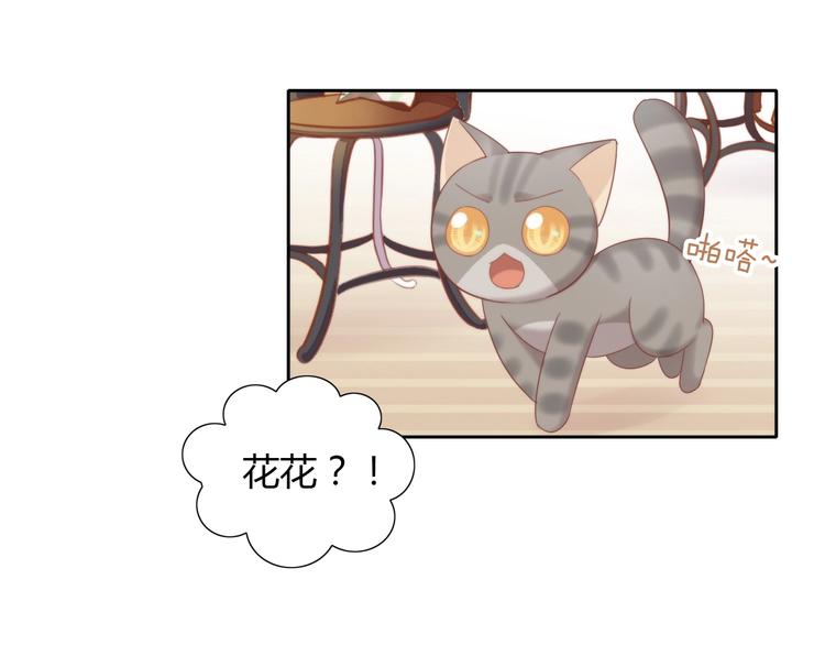 猫爪之下韩漫全集-第133话 撸猫技师（一）无删减无遮挡章节图片 