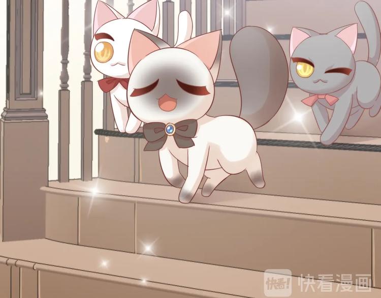 猫爪之下韩漫全集-第133话 撸猫技师（一）无删减无遮挡章节图片 