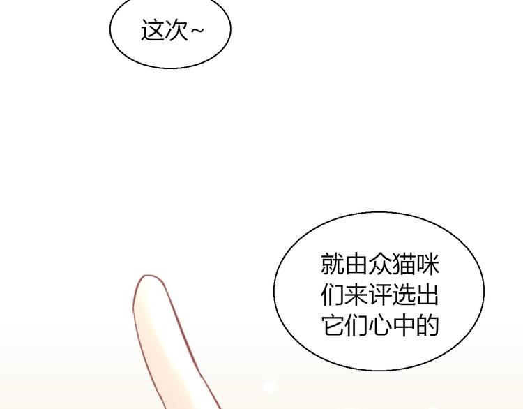 猫爪之下韩漫全集-第133话 撸猫技师（一）无删减无遮挡章节图片 