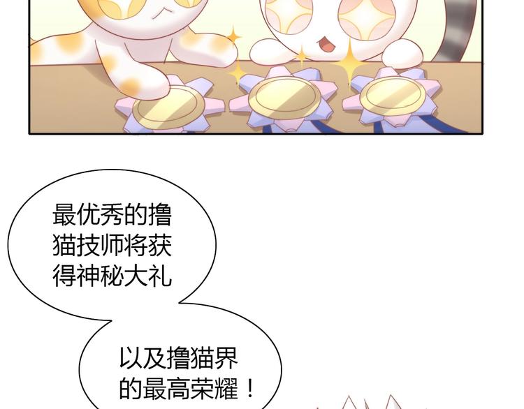 猫爪之下韩漫全集-第133话 撸猫技师（一）无删减无遮挡章节图片 