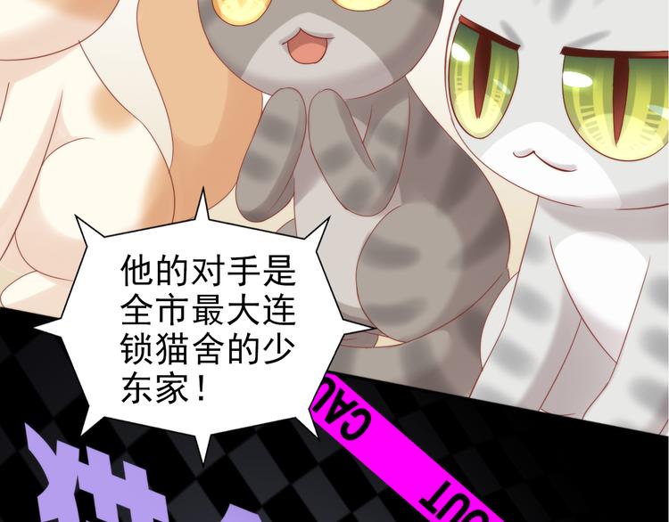 猫爪之下韩漫全集-第134话  撸猫技师（二）无删减无遮挡章节图片 