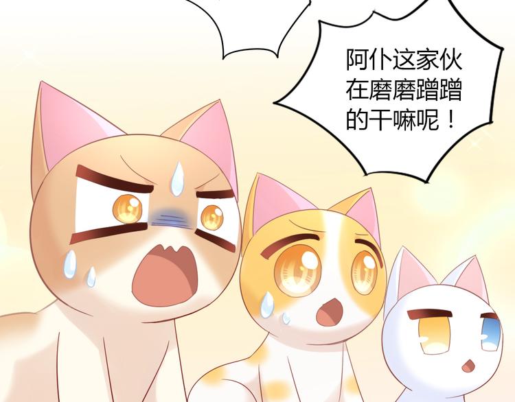猫爪之下韩漫全集-第134话  撸猫技师（二）无删减无遮挡章节图片 