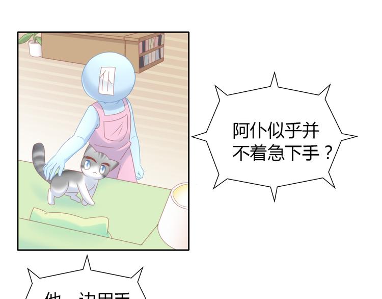 猫爪之下韩漫全集-第134话  撸猫技师（二）无删减无遮挡章节图片 
