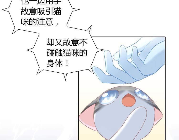 猫爪之下韩漫全集-第134话  撸猫技师（二）无删减无遮挡章节图片 