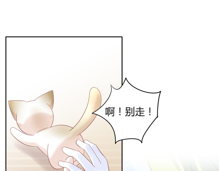 猫爪之下韩漫全集-第134话  撸猫技师（二）无删减无遮挡章节图片 