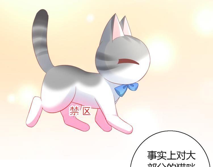 猫爪之下韩漫全集-第134话  撸猫技师（二）无删减无遮挡章节图片 