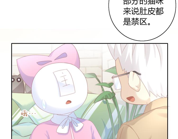 猫爪之下韩漫全集-第134话  撸猫技师（二）无删减无遮挡章节图片 